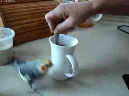Coffee!!